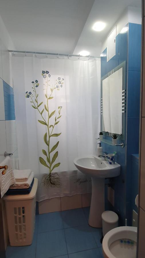 Apartament Cosbuc Baia Mare Luaran gambar