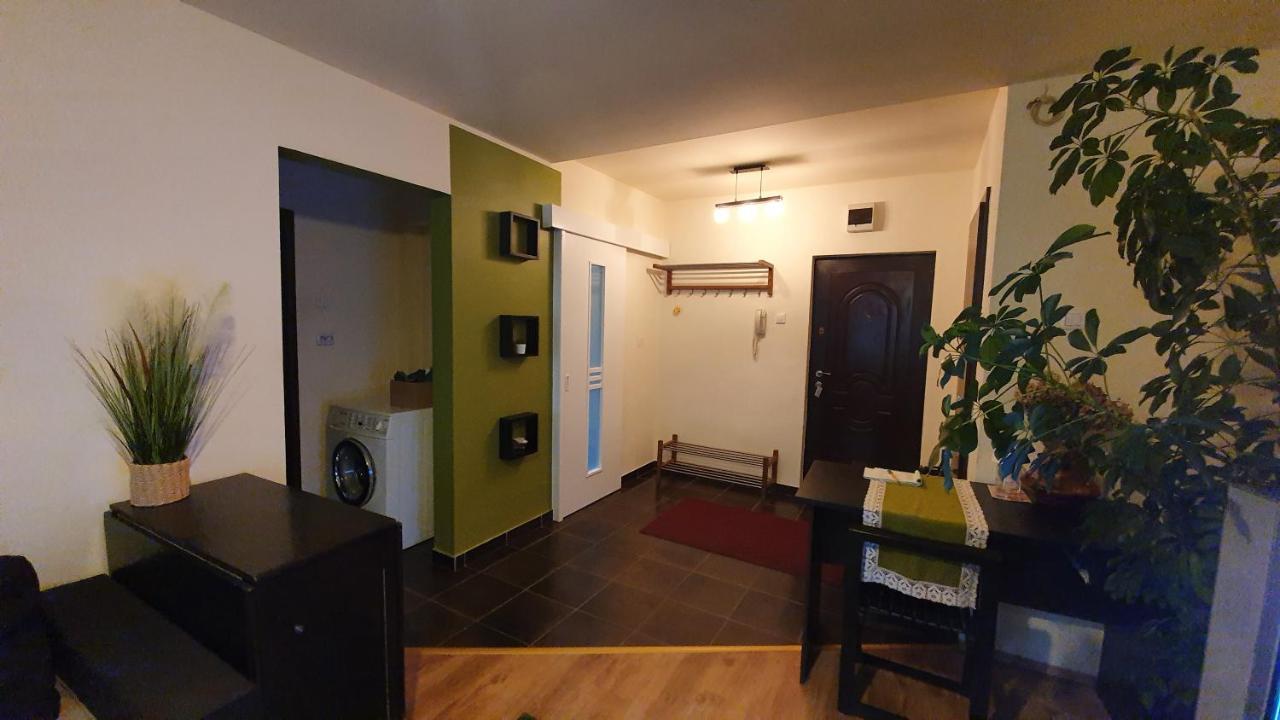 Apartament Cosbuc Baia Mare Luaran gambar