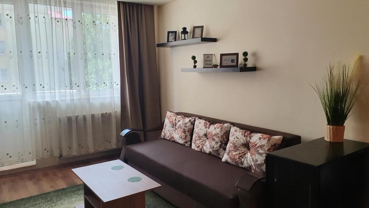 Apartament Cosbuc Baia Mare Luaran gambar