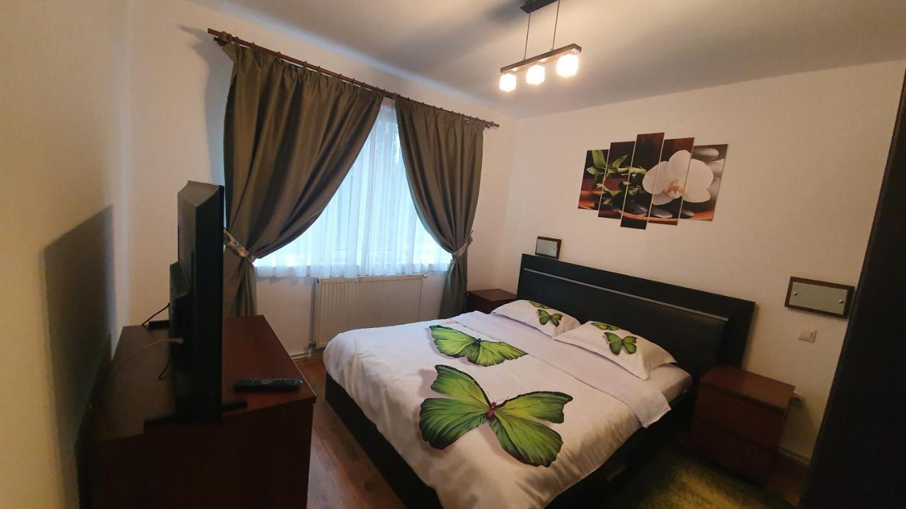 Apartament Cosbuc Baia Mare Luaran gambar